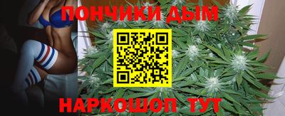 прущие крисы Братск