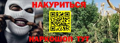 прущие крисы Братск